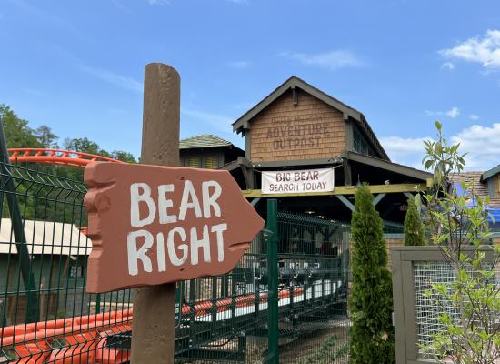 Big Bear Mountain Queue Signage