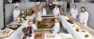 Fantastic Beast The Wonder Nature Conservation - crédito: Trustees of Natural History Museum