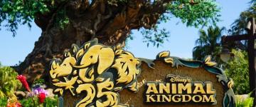 Signe du 25e anniversaire d'Animal Kingdom devant l'arbre de vie
