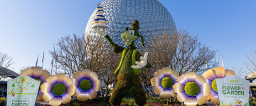 Goofy topiary at the front of Epcot 