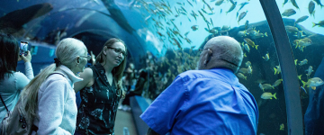 Gli ospiti interagiscono con il personale del Georgia Aquarium