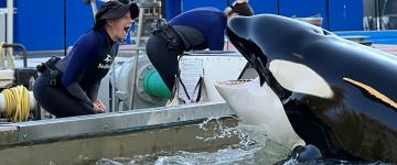 Inside Look at SeaWorld Orlando takes visitors behind-the-scenes