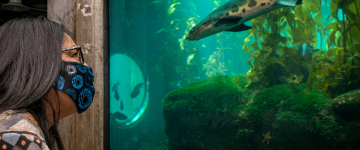 Visitante usando cobertura facial - Monterey Bay Aquarium