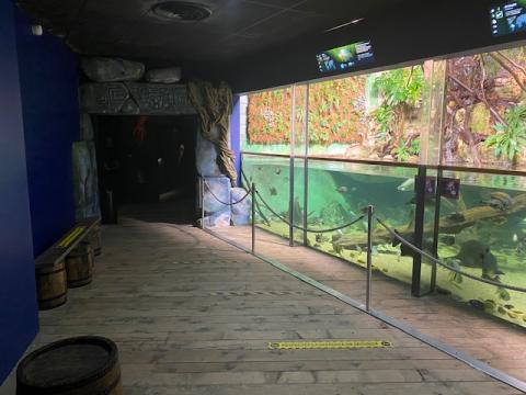 Visual markers at Aquarium Saint-Malo show guests where to stand for social distancing.