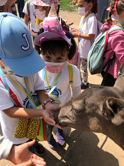 Children enjoy Zoologico Guadalajara with COVID-19 restrictions in place 