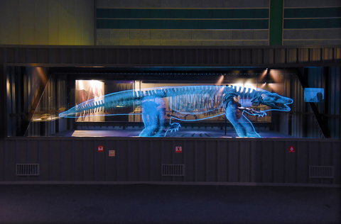 Projection of a Dinosaur skeleton 