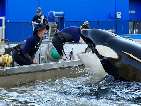 Inside Look at SeaWorld Orlando takes visitors behind-the-scenes
