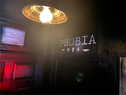 Corridoio della stanza di fuga della fobia