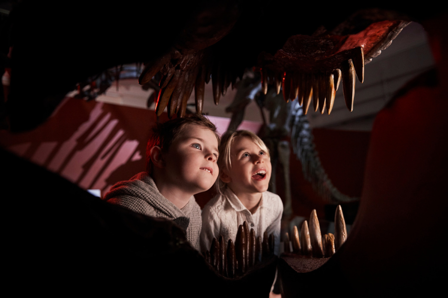 Enfants dans la galerie des dinosaures du musée australien (Crédit: Daniel Boud)