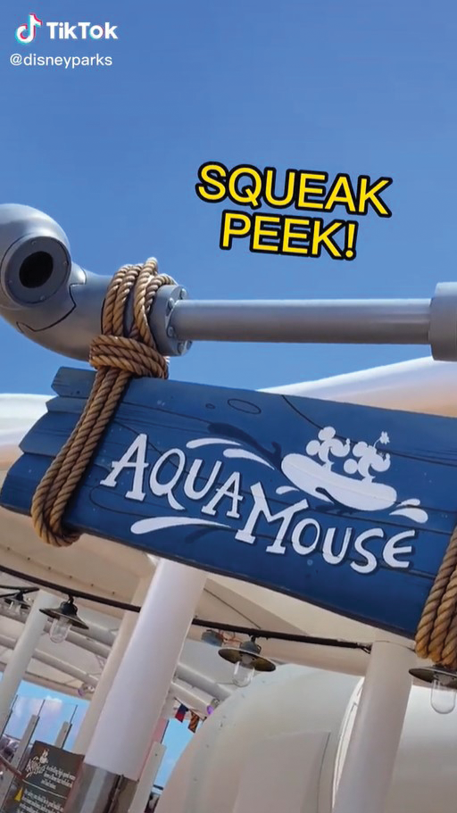 DIsney Cruise Tik Tok AquaMouse