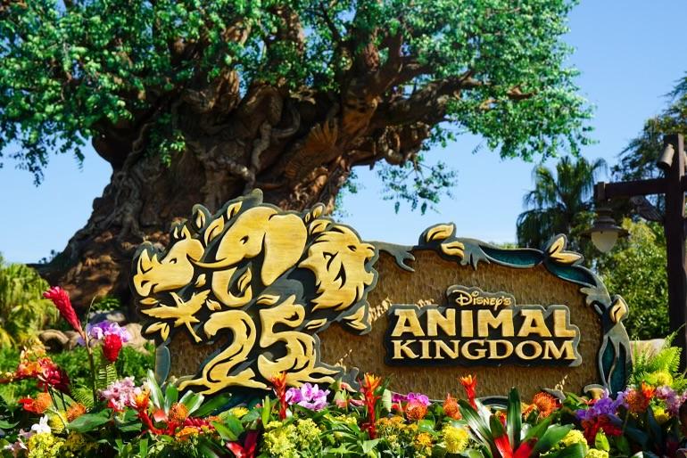 Cartel del 25 aniversario de Animal Kingdom frente al Árbol de la vida
