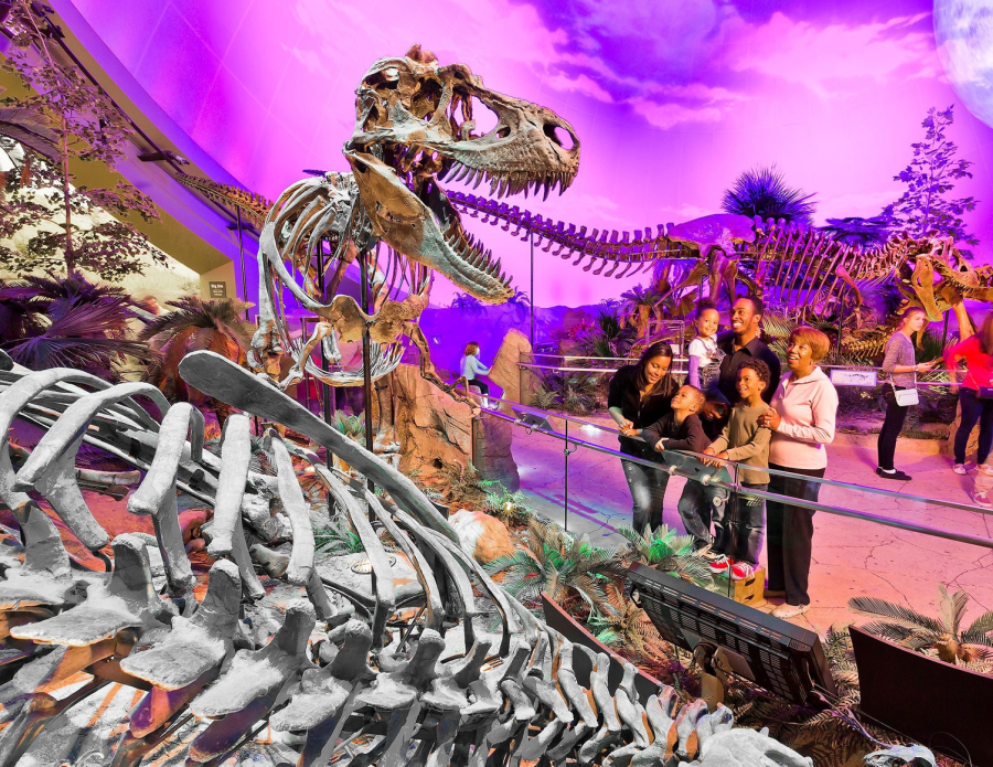 Telón de fondo de Dinosphere Cinedome