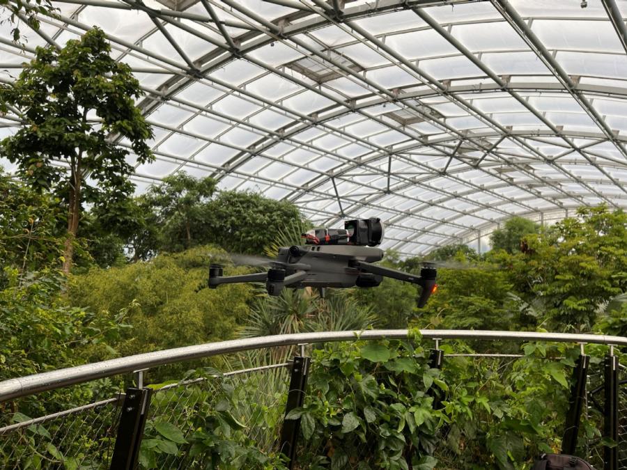 Un drone effectue un prélèvement d'ADN dans la forêt tropicale de Masoala au zoo de Zurich