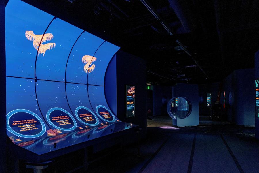 Overview of the interactive "Eat or Be Eaten" educational game inside Monterey Bay Aquarium