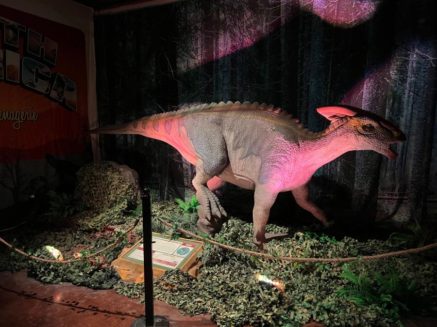 Animatronic dinosaur display inside Dino Safari San Antonio