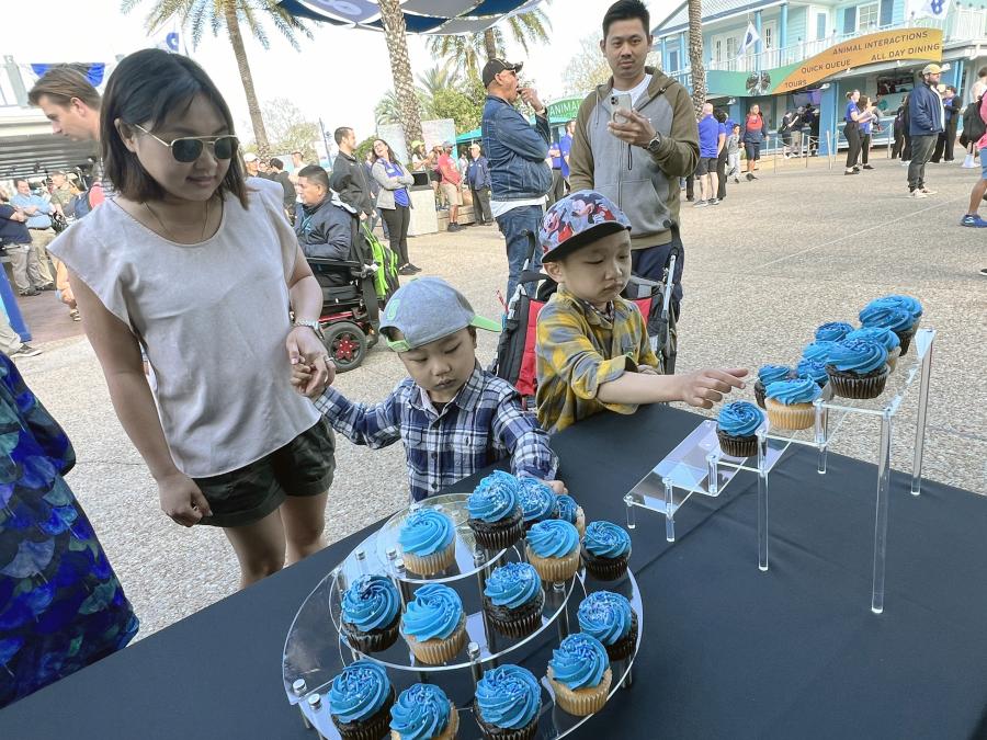 Cupcake per 60 ospiti SeaWorld