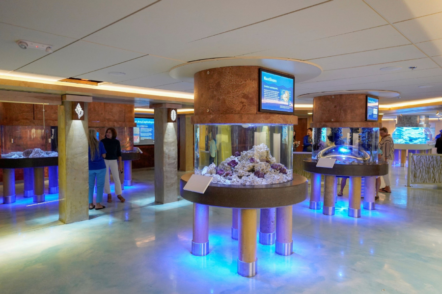 Nueva galería de acuarios durante la inauguración inicial en marzo de 2020