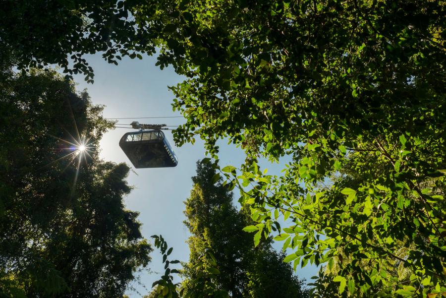 Vue sur la forêt tropicale de Scenic World située en Nouvelle-Galles du Sud, en Australie, avec la silhouette d'un téléphérique dans le ciel et des fils dans le cadre central