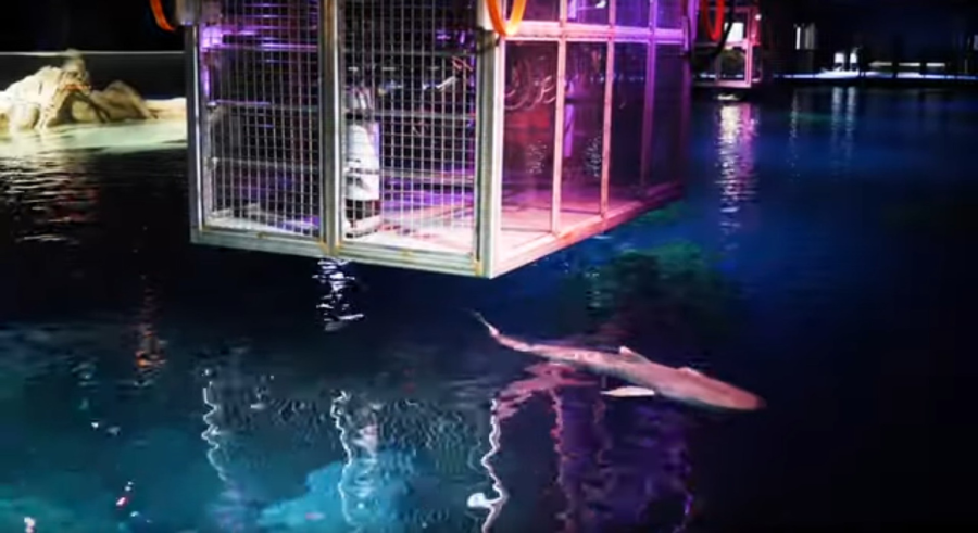 Georgia Aquarium Shark Cage