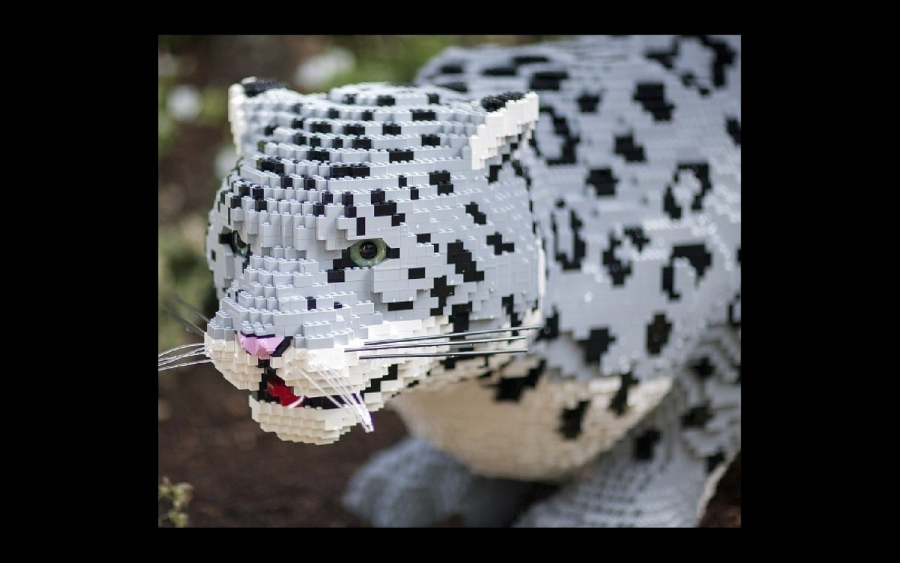 Snow Leopard hecho de legos en el Zoológico de Denver