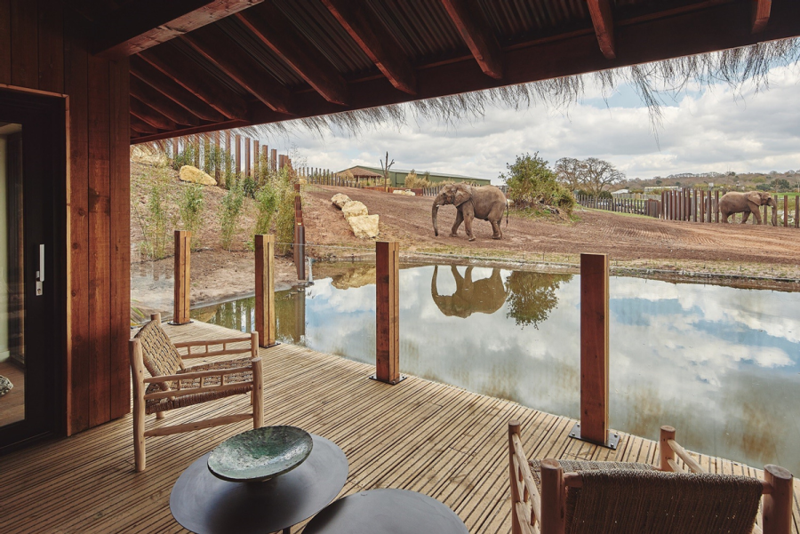 Safari Lodges - (Crédito: West Midland Safari Park)