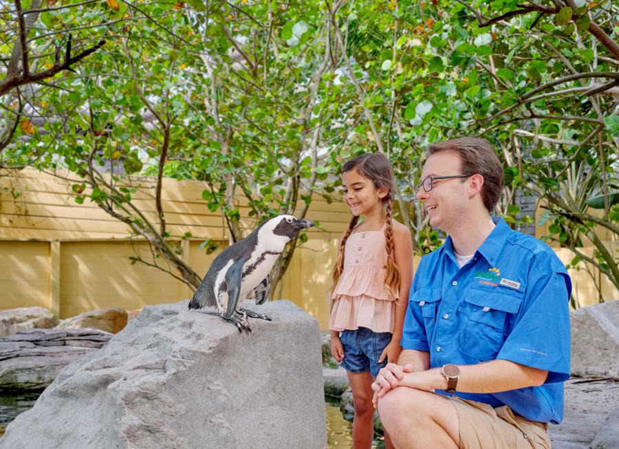 A young child interacts with a penguin, supervised by an employee of ZooTampa at Lowry Park