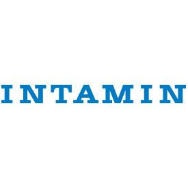 Intamin Logo