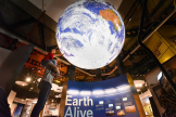 Child enjoys giant earth globe 
