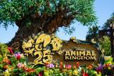 Cartel del 25 aniversario de Animal Kingdom frente al Árbol de la vida