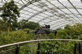 Un drone effectue un prélèvement d'ADN dans la forêt tropicale de Masoala au zoo de Zurich
