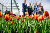 Floriade Expo 2022 Inaugurazione ufficiale del re Willem Alexander